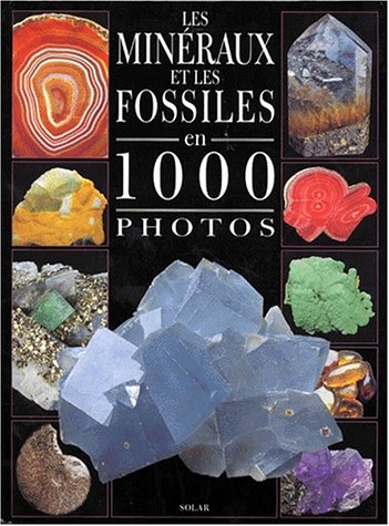 Les minéraux et les fossiles en 1000 photos
