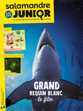 Salamandre Junior, 131 - Aout - septembre 2020 - Grand requin blanc, le film