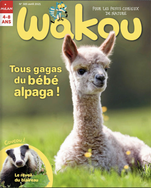 Wakou, 385 - Avril 2021 - Tous gagas du bébé alpaga !