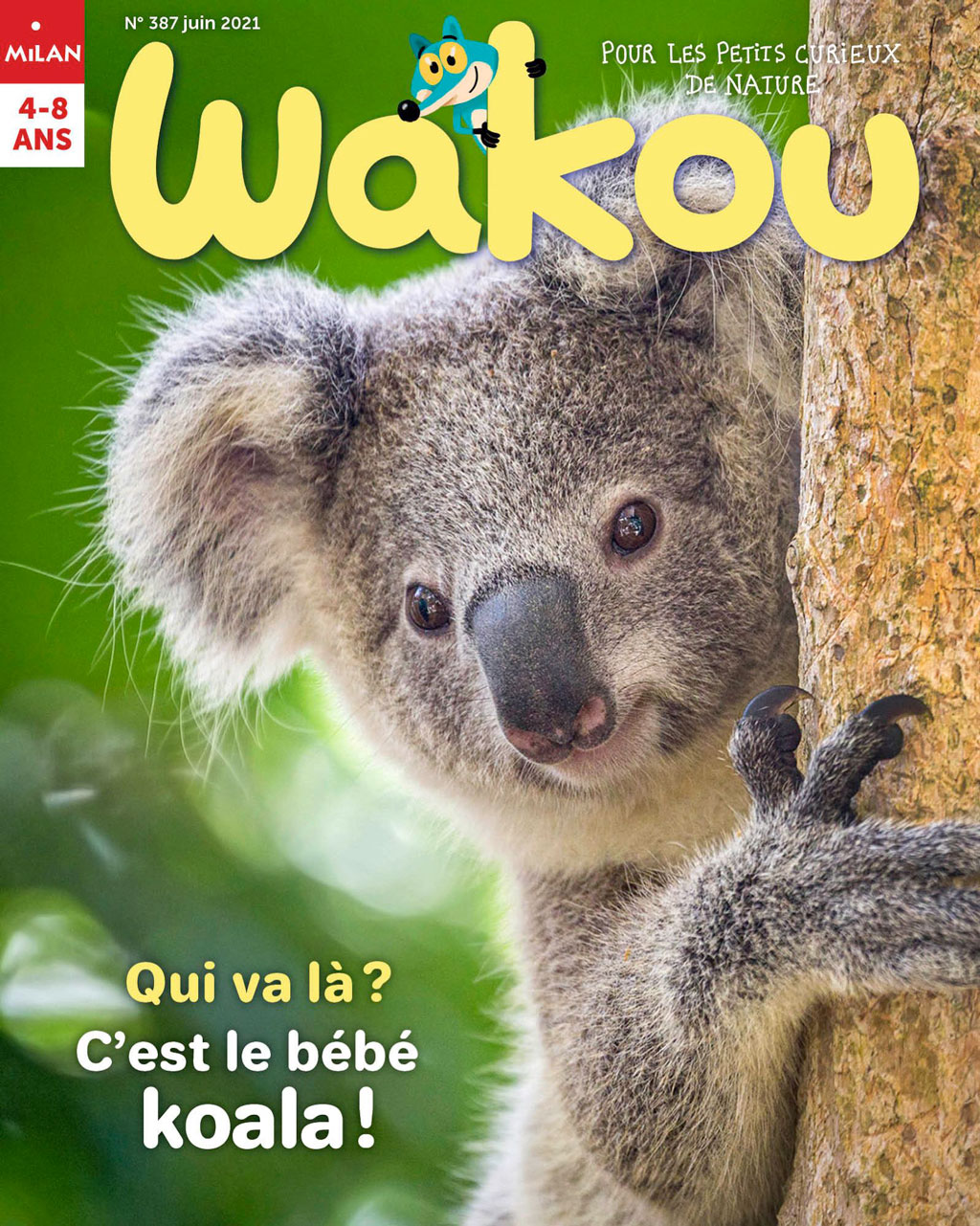 Wakou, 387 - Juin 2021 - Qui va là ? C'est le bébé koala !