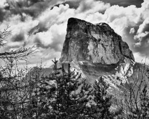 Exposition