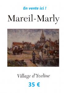 Vente Livre sur Mareil